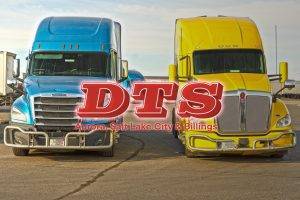 branded trucks portrait